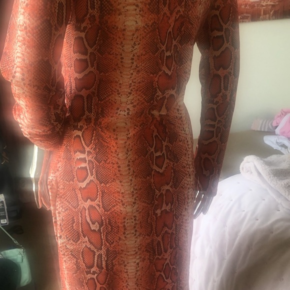 Orange python print stretch dress - Picture 3 of 5